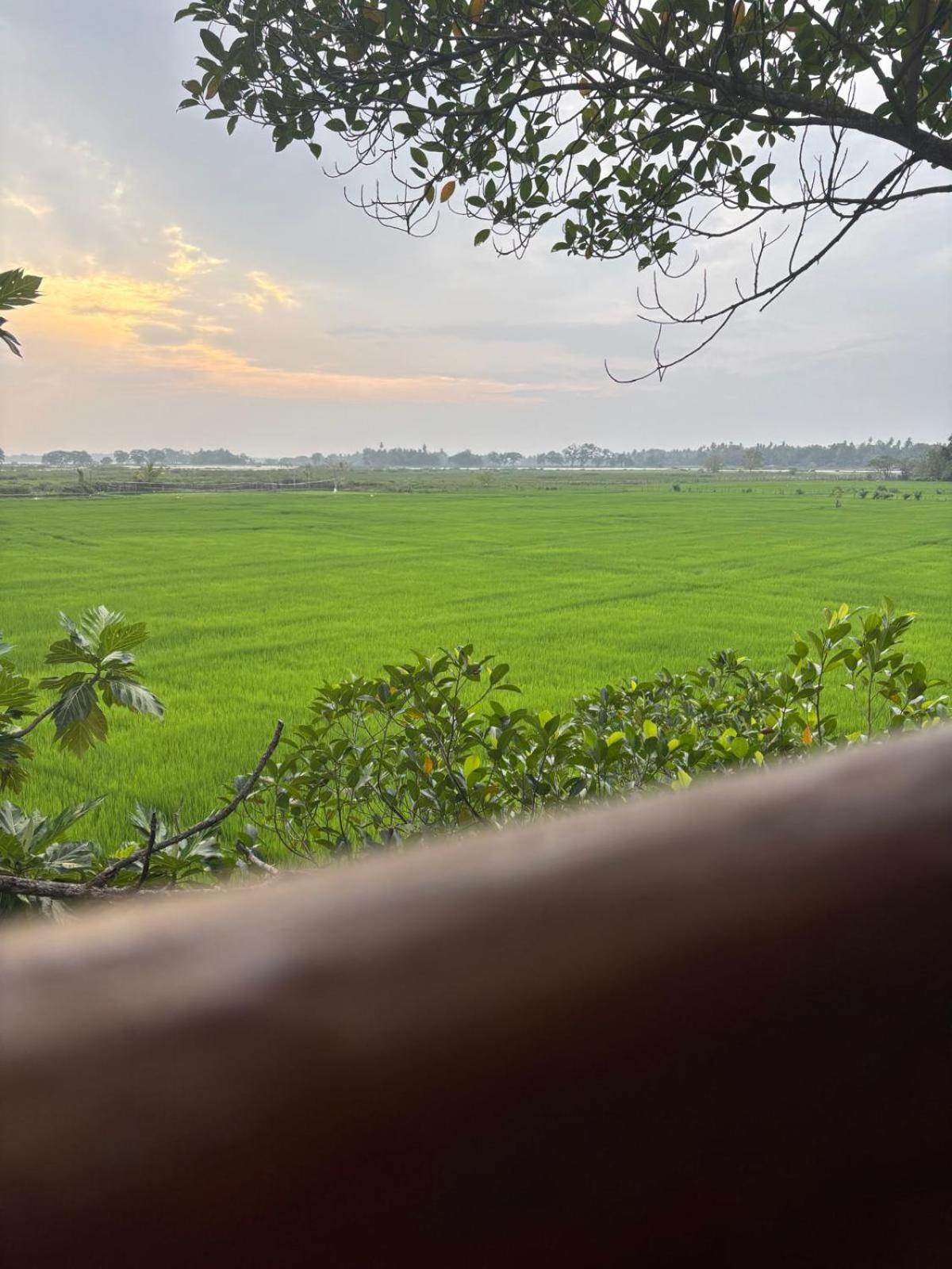 Lake Side View Cabana تيساماهاراما الغرفة الصورة