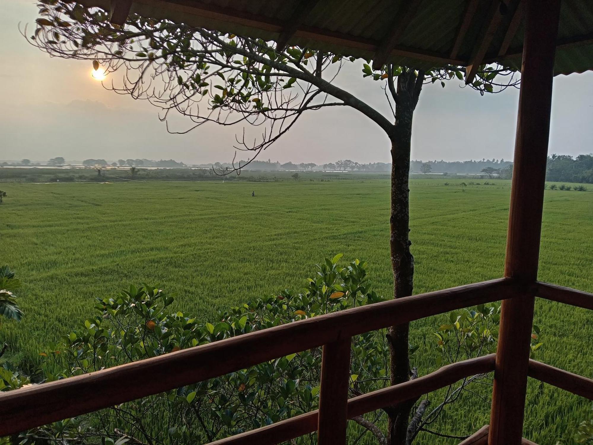 Lake Side View Cabana تيساماهاراما المظهر الخارجي الصورة