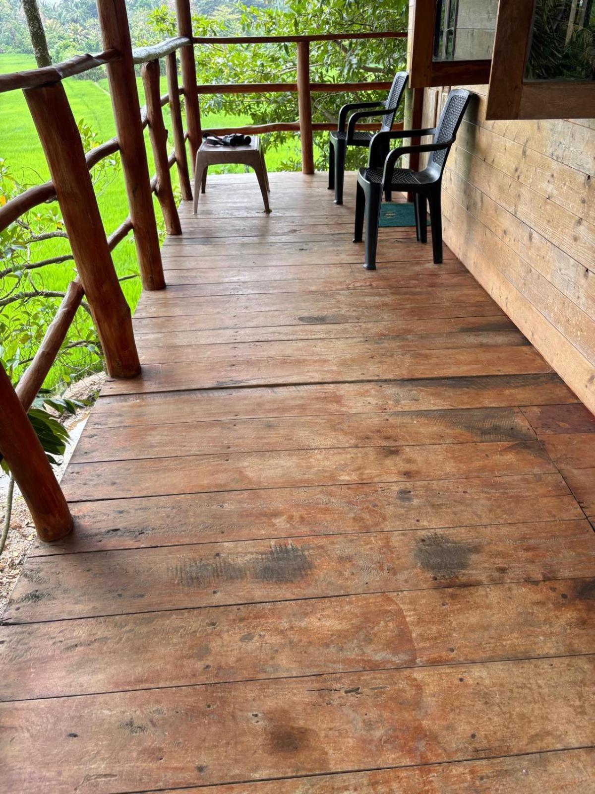 Lake Side View Cabana تيساماهاراما المظهر الخارجي الصورة