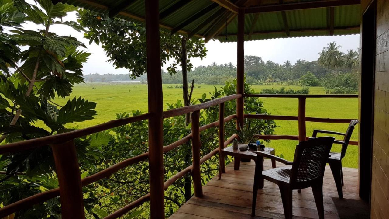 Lake Side View Cabana تيساماهاراما المظهر الخارجي الصورة